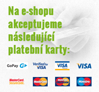 Za nákup na e-shopu můžete nově zaplatit kartou