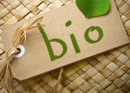 Nový článek na blogu - Proč říct ANO biopotravinám