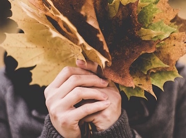 Tipy na říjen aneb nový článek na blogu