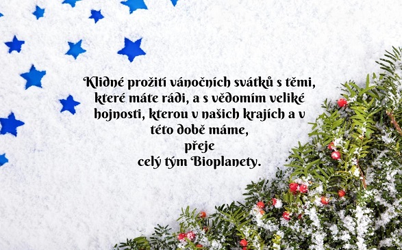 Prosincový očistec