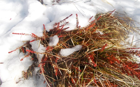 Tipy na únor aneb vybíráme pro vás