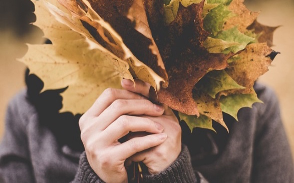 Tipy na říjen aneb vybíráme pro vás